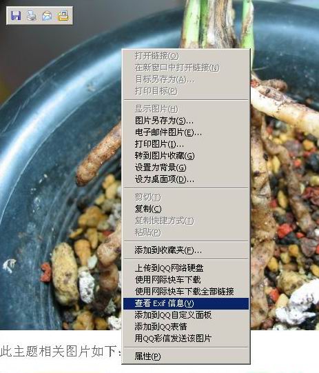 网页上查看数码<em>照片信息</em>,让<em>照片信息</em>不再对你