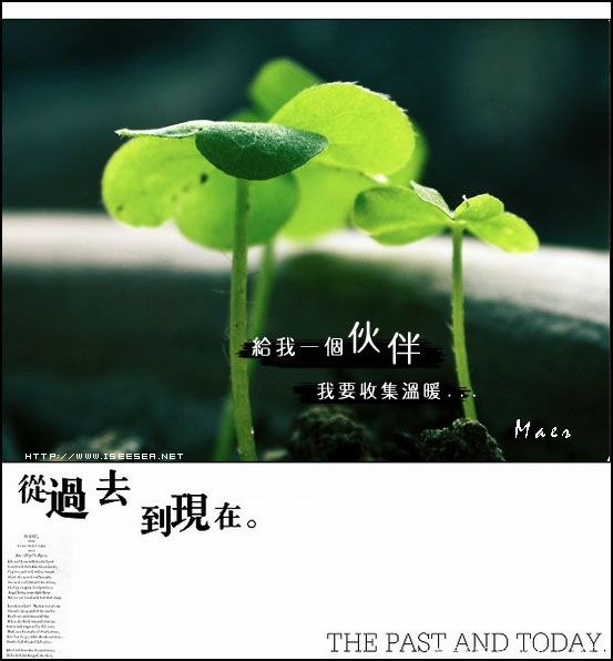 新的开始,新的起点