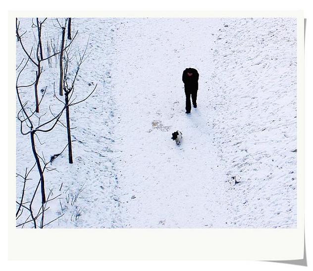 窗外看雪(2007年天)