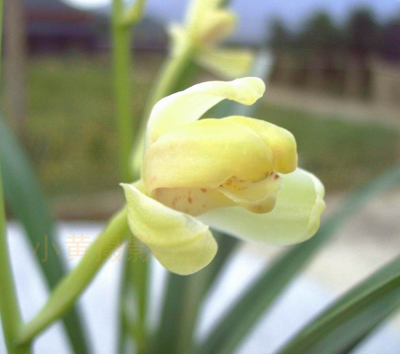 邂逅端秀梅