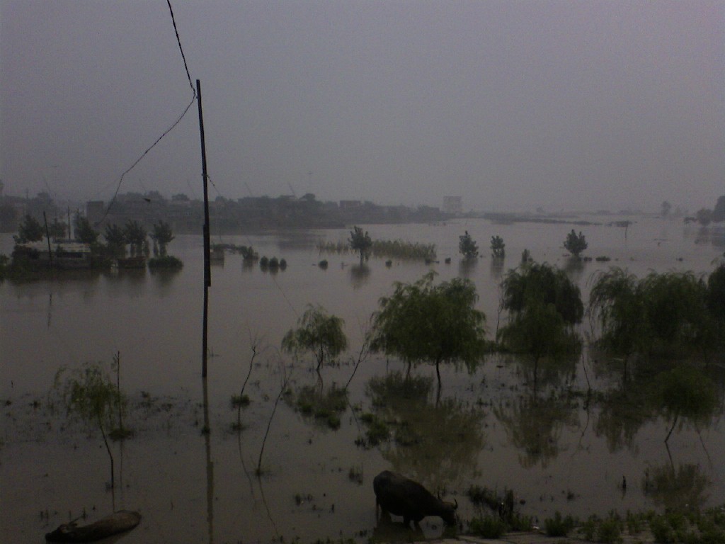 淮河洪水泛滥--蚌埠禹会区一角!-以兰会友-中国