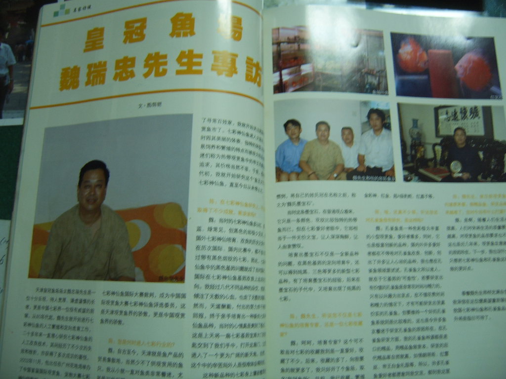 按此在新窗口浏览图片