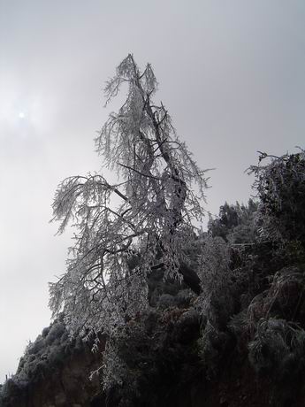 观赏梁野山兰花生长地雪景