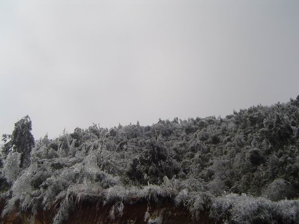 观赏梁野山兰花生长地雪景