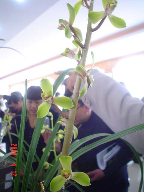按此在新窗口浏览图片