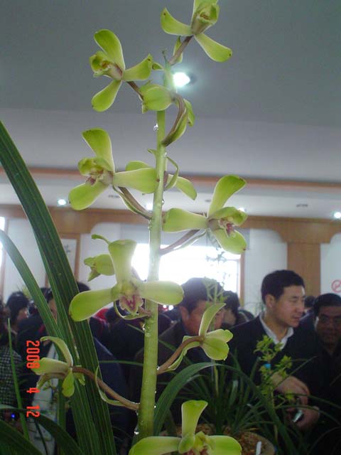 按此在新窗口浏览图片