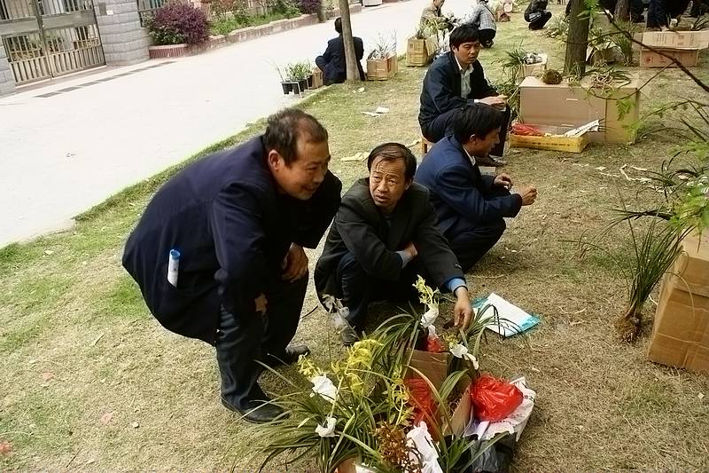 按此在新窗口浏览图片