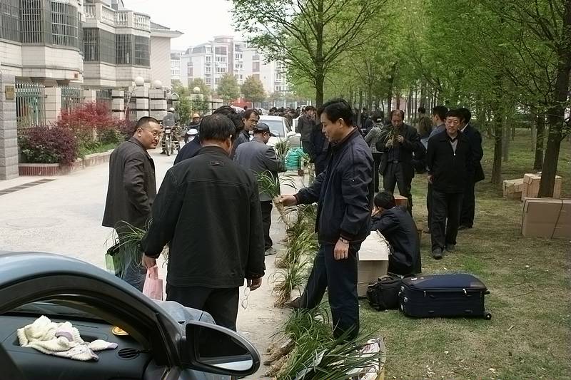 按此在新窗口浏览图片