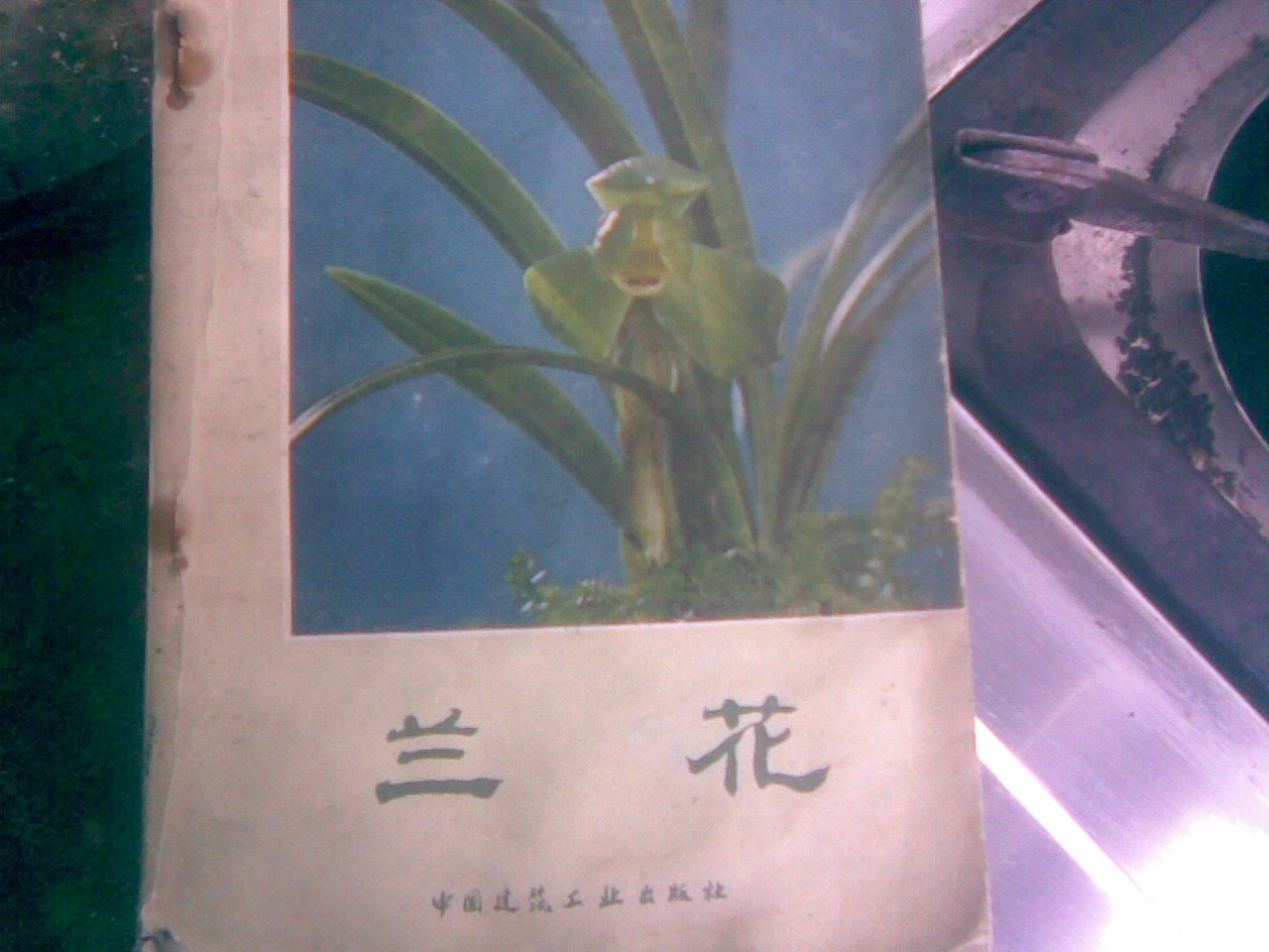 按此在新窗口浏览图片