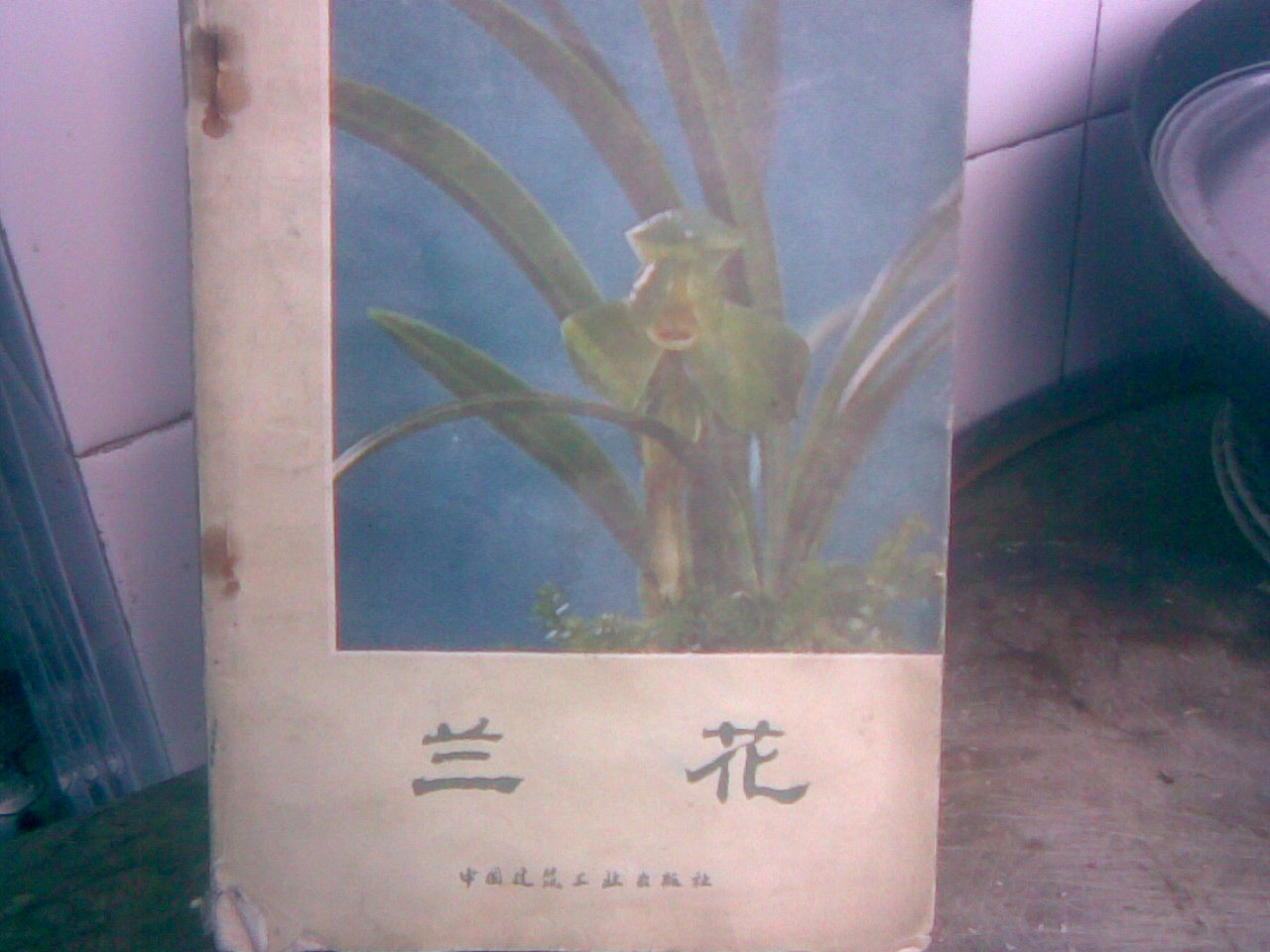 按此在新窗口浏览图片