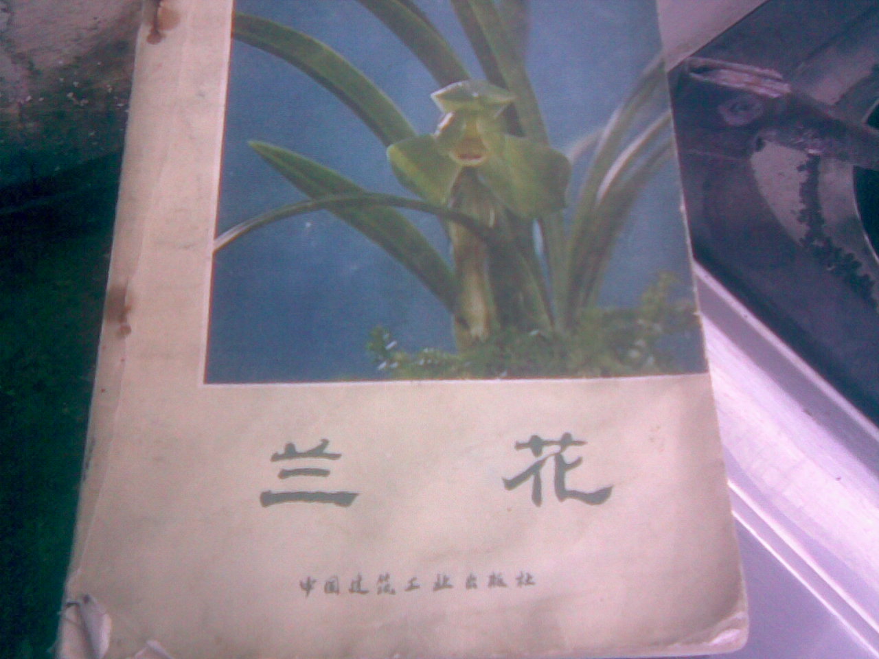 按此在新窗口浏览图片