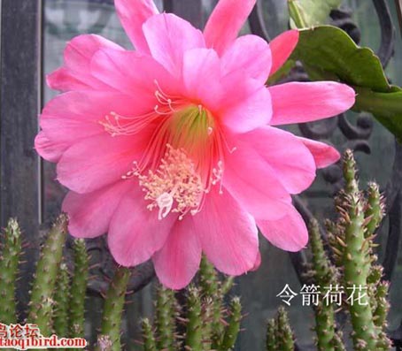 按此在新窗口浏览图片