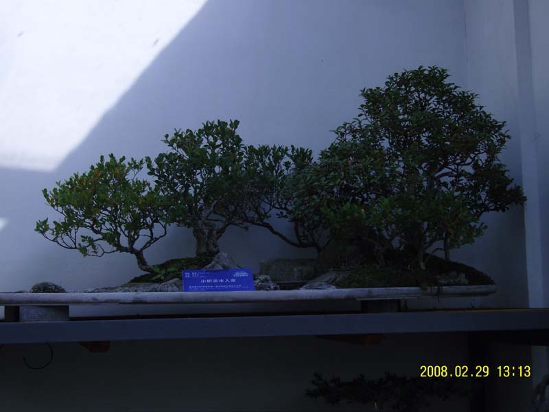 按此在新窗口浏览图片