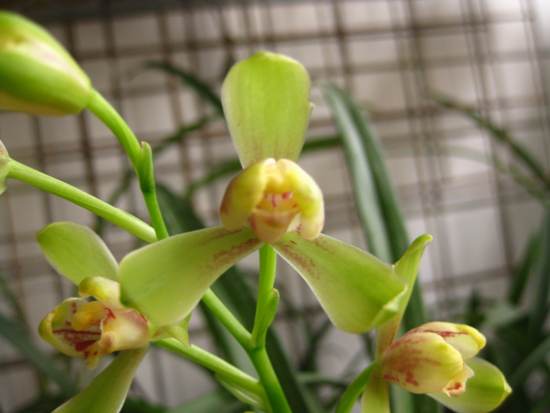 借我借我一双慧眼吧