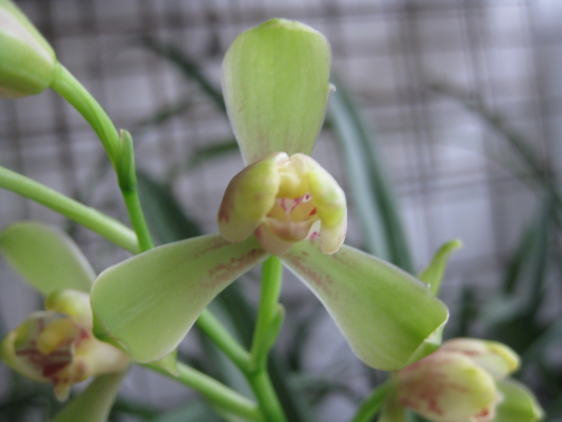 借我借我一双慧眼吧