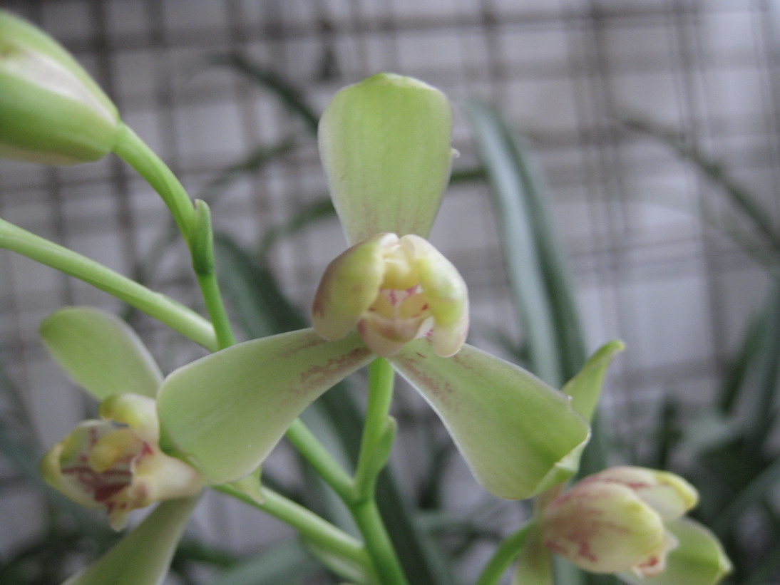 借我借我一双慧眼吧