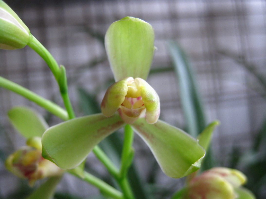 借我借我一双慧眼吧