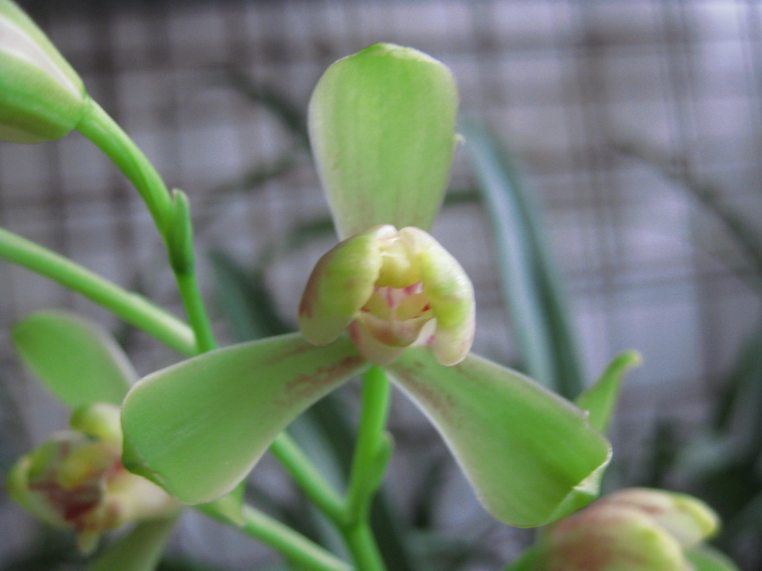 借我借我一双慧眼吧