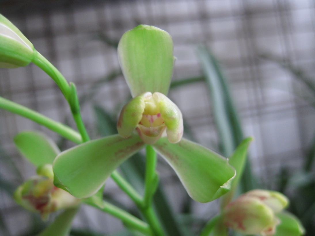 借我借我一双慧眼吧