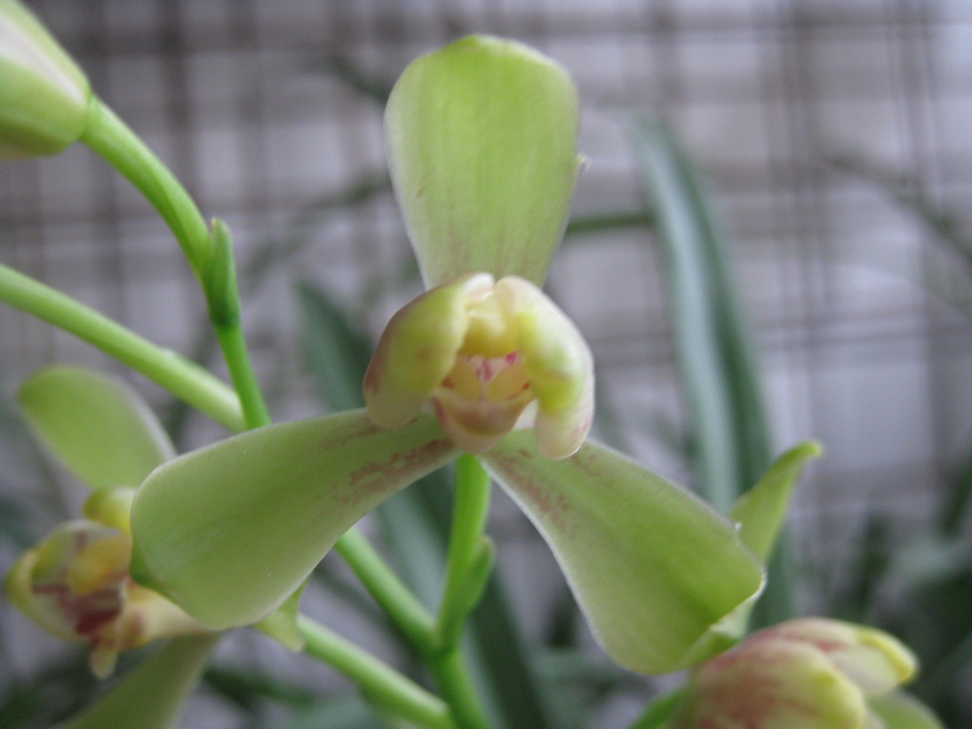 借我借我一双慧眼吧