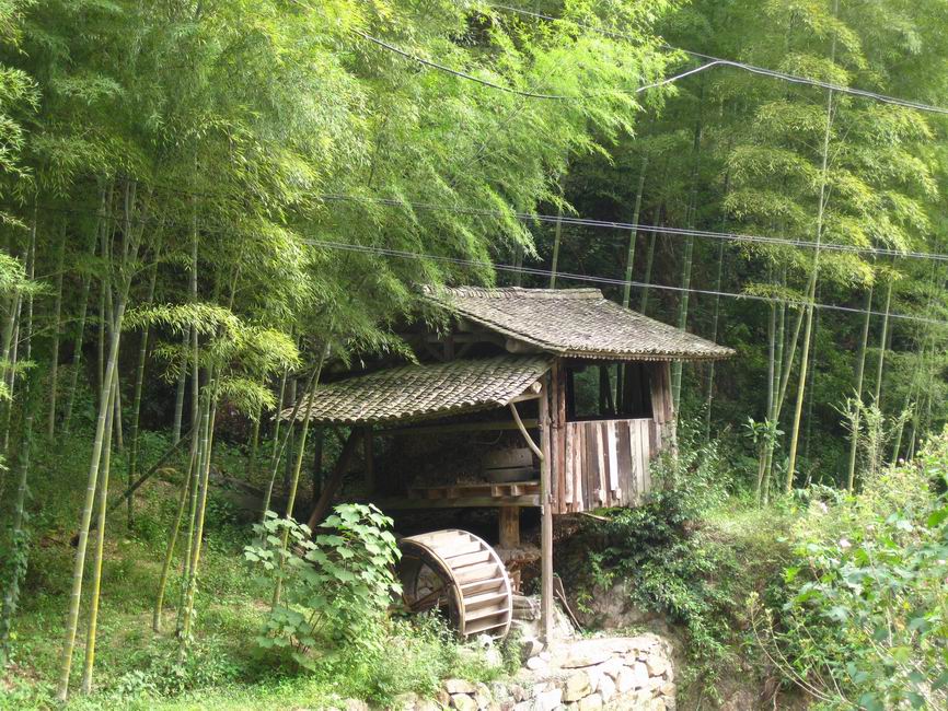 竹林小屋