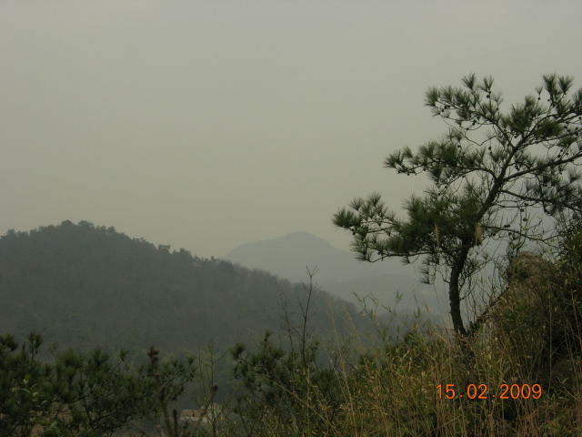 今天上山挖泥,顺便掘了个好树桩-心情故事-中国