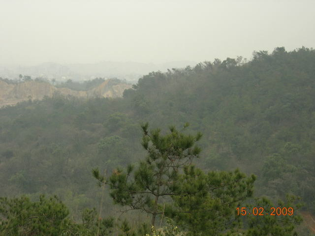 今天上山挖泥,顺便掘了个好树桩-心情故事-中国