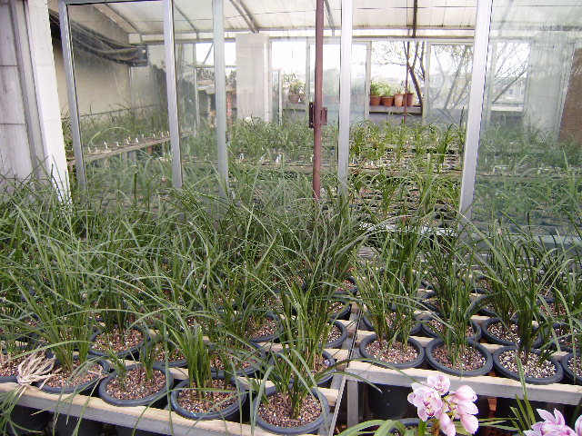 你最敬重卑微者的哪一点,为什么?-对于敬重卑