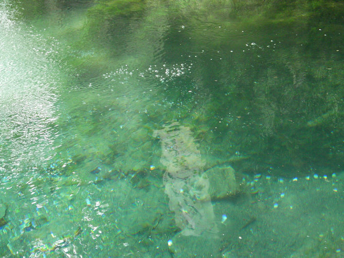 南京珍珠泉游记-茶余兰后-中国兰花交易网社区