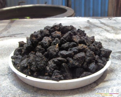 自我介绍申请开店