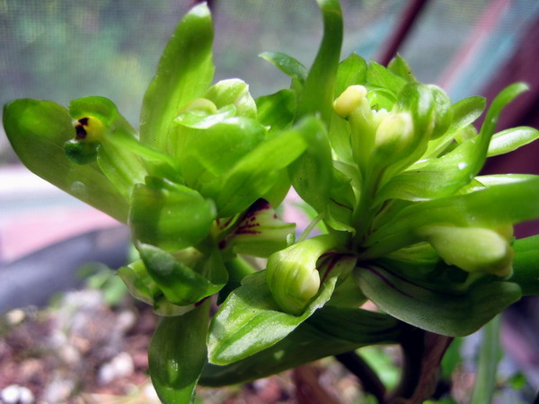 三个月前怎么没发现你呀