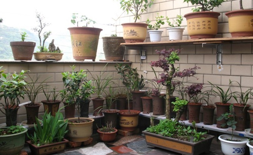 我家的DIY图纸附花架魔钓鱼图片