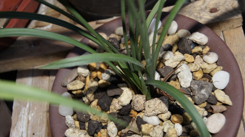 佛曰不可说~~(续一)