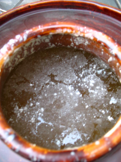 一种花肥的制作方法-种养心得-中国兰花交易网