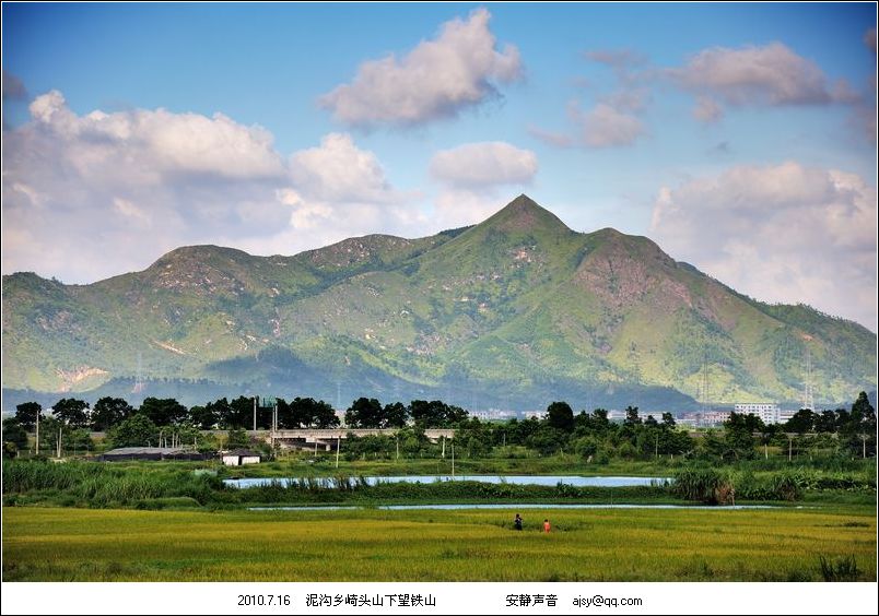 看了铁山红梅,普宁雄奇,铁山红花…突然想上山-种养心得-中国兰花