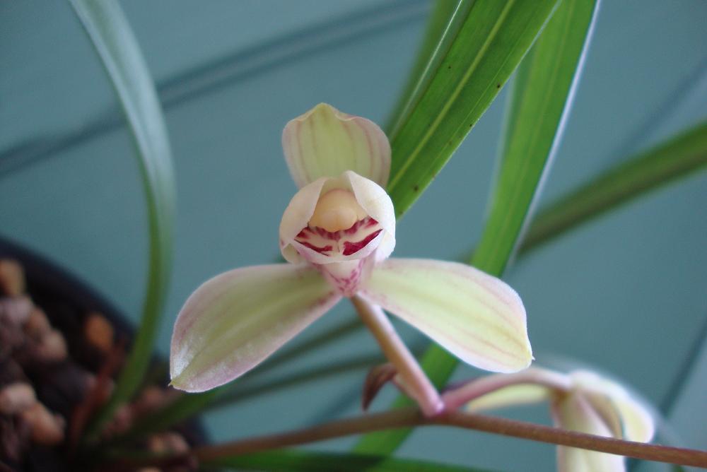 <em>为什么骂王者小妹</em>_<em>王者小妹为什么被</em>喷_斗鱼