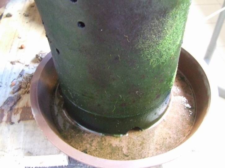 兰花的送水栽培方法-种养心得-中国兰花交易网