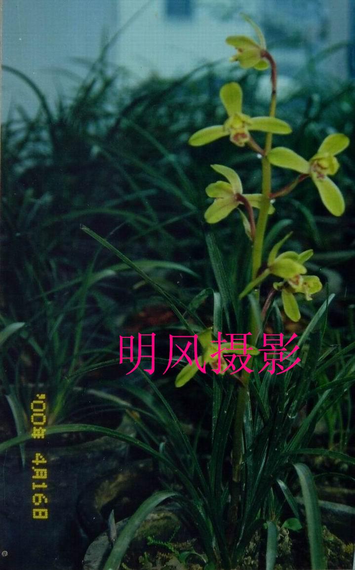 按此在新窗口浏览图片