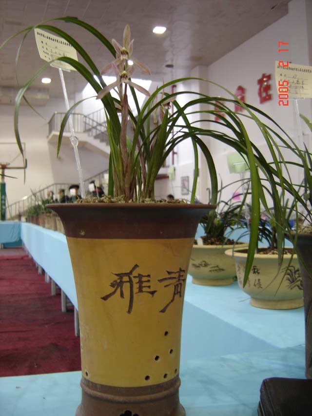 按此在新窗口浏览图片