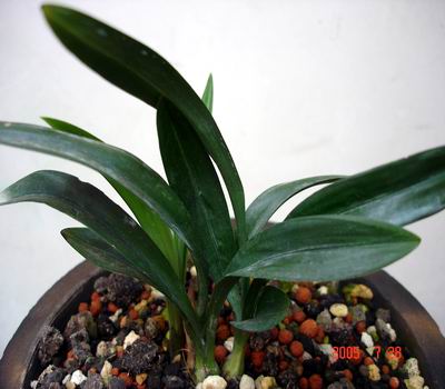 �������´������ͼƬ